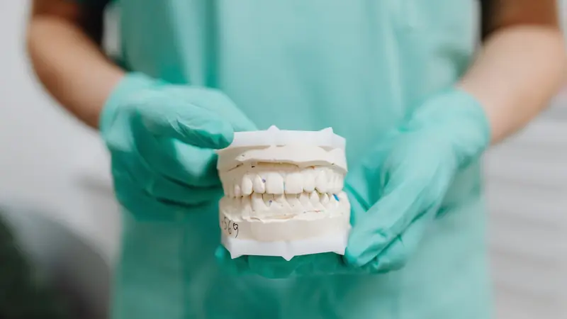 Mains gantées qui tiennent un moulage de dentition