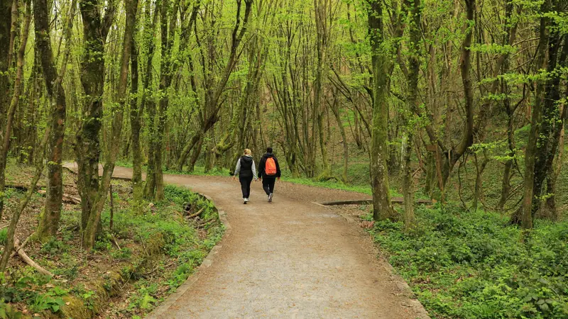 Deux personnes qui marchent d'un bon pas en forêt