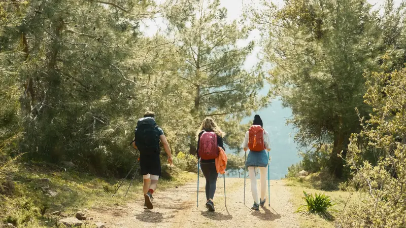 Randonneurs avec des bâtons sur un sentier ensoleillé