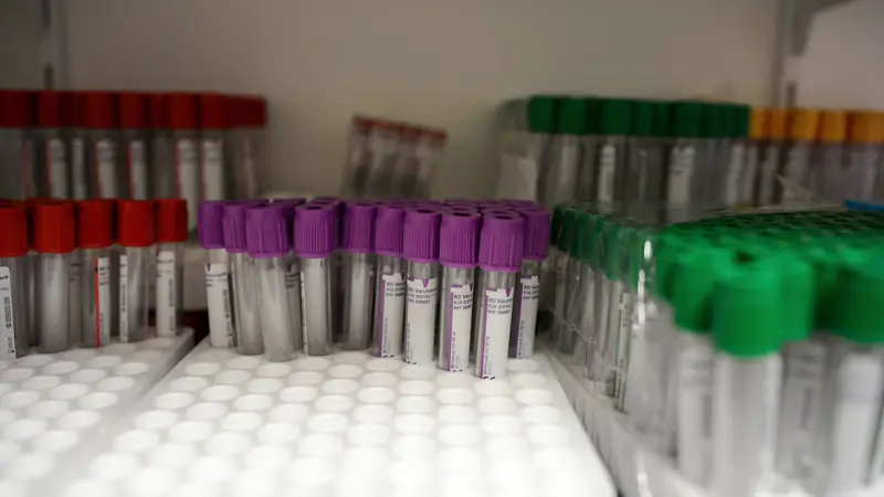 Tubes de prélèvement aux bouchons de couleurs différentes sur un portoir