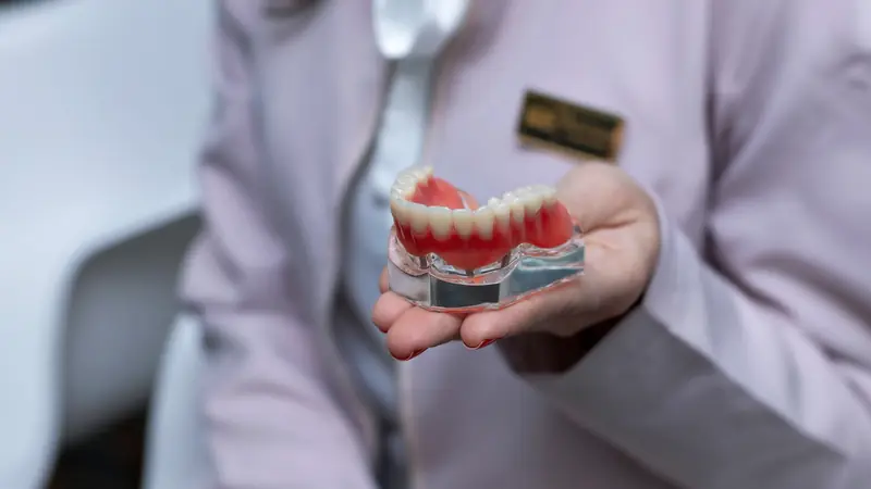 Une main présente un modèle de prothèse complète du bas fixée sur implants, sur un socle transparent