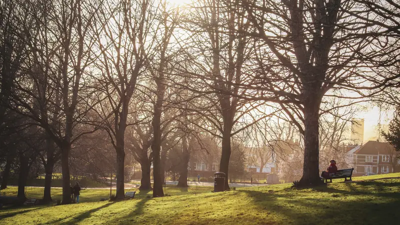 Personne assise sur un banc dans un parc baigné de soleil d'hiver